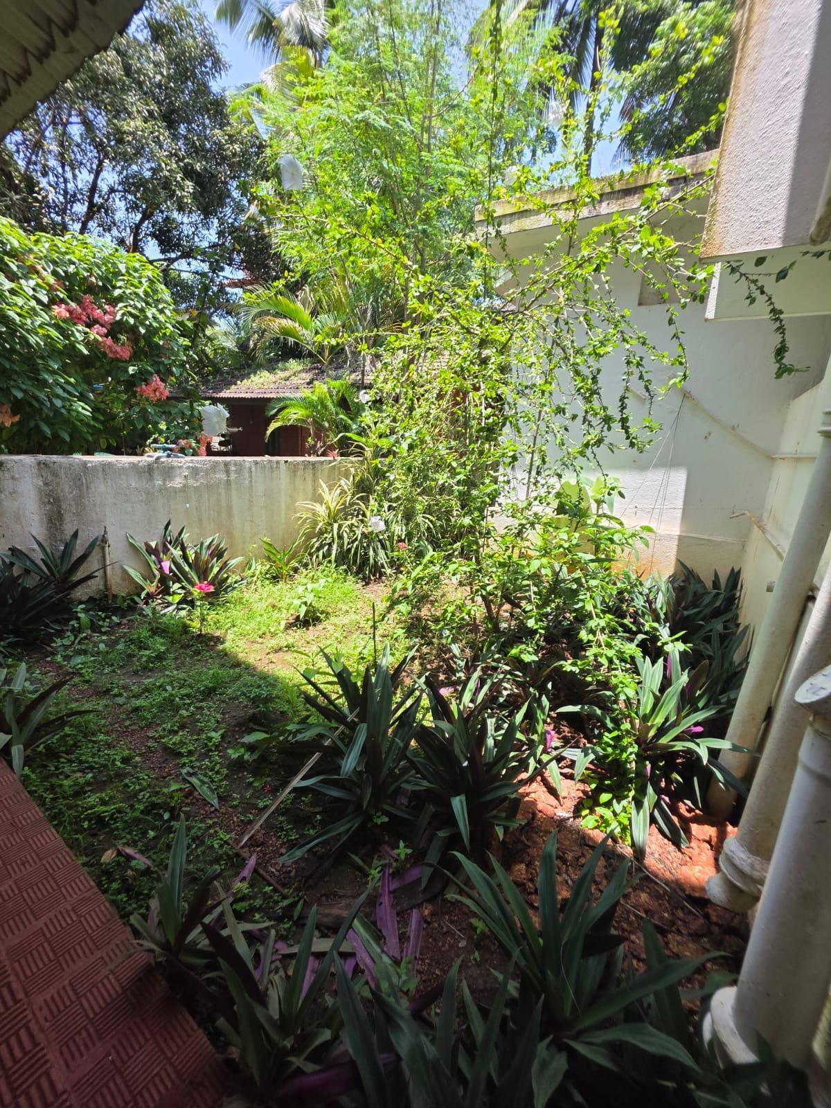 Garden landscaping project in Goa